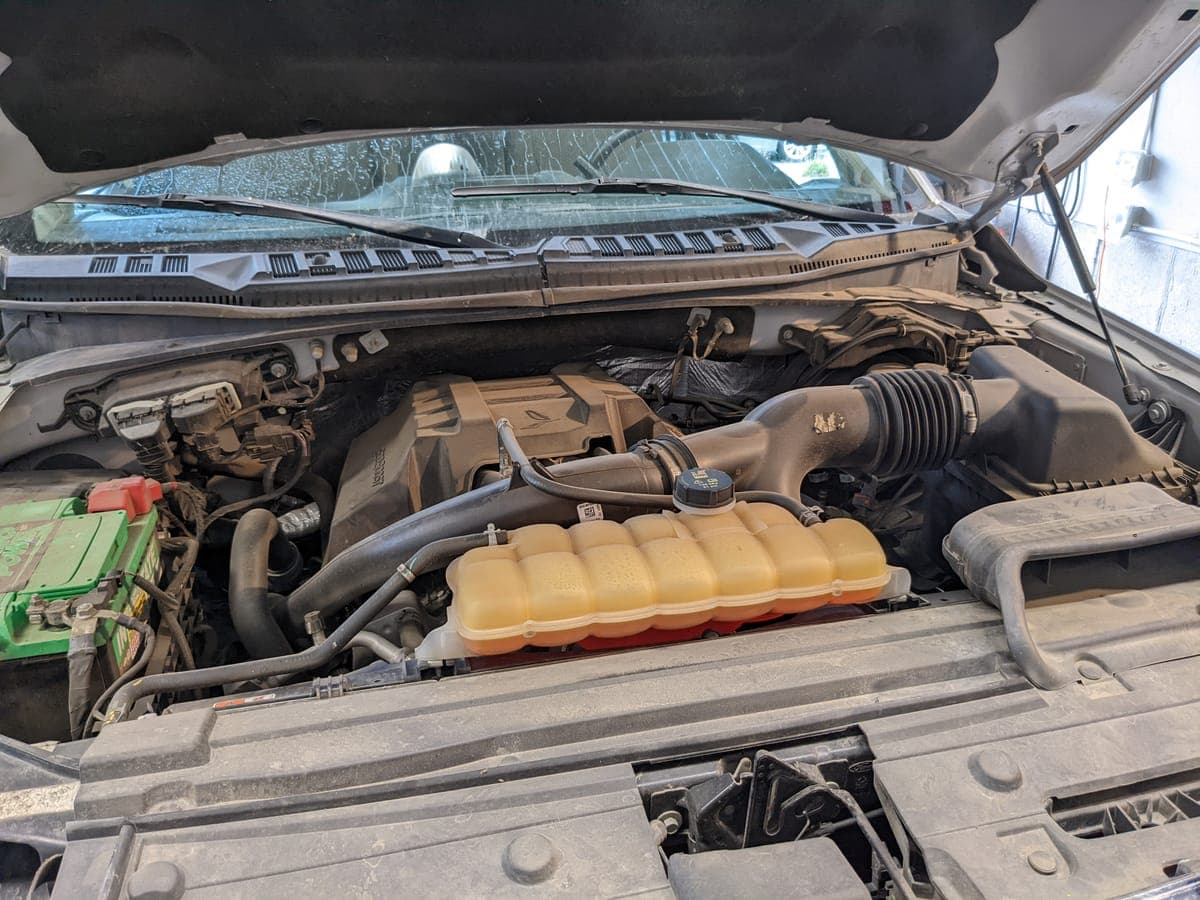 Powertrain Detox