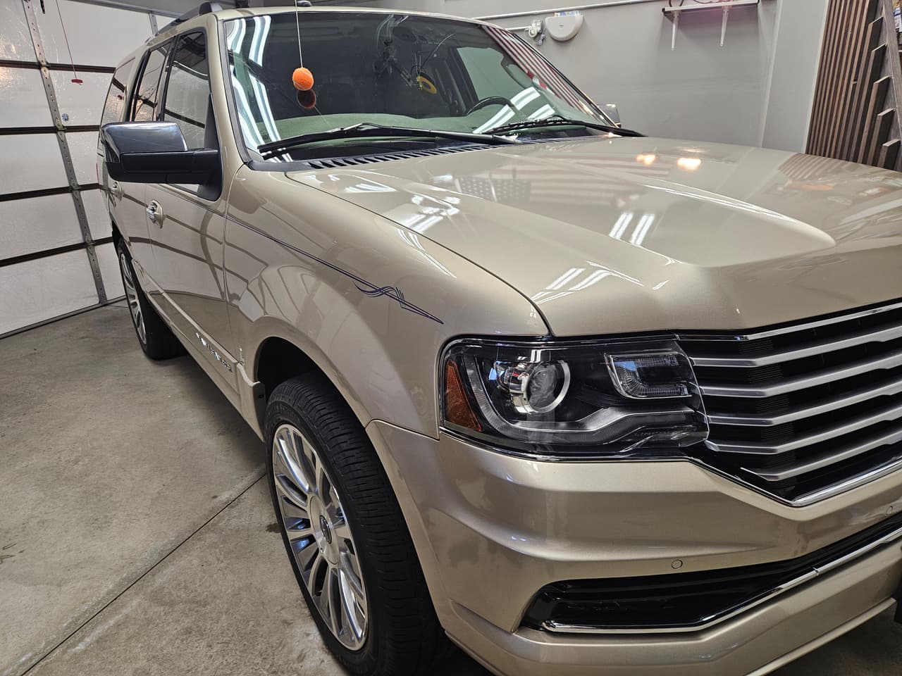 Detail Therapy paint correction and rejuvenation