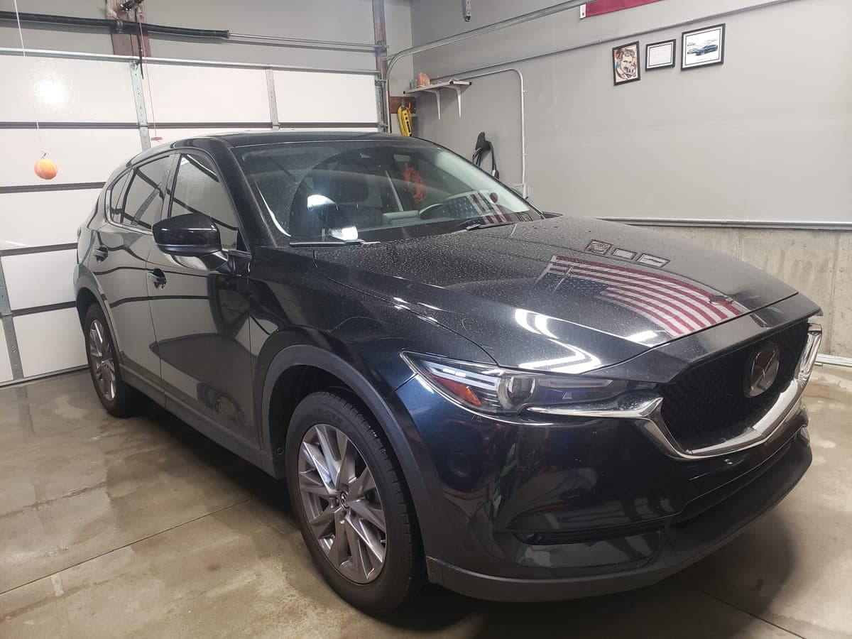 Detail Therapy - mazda housley