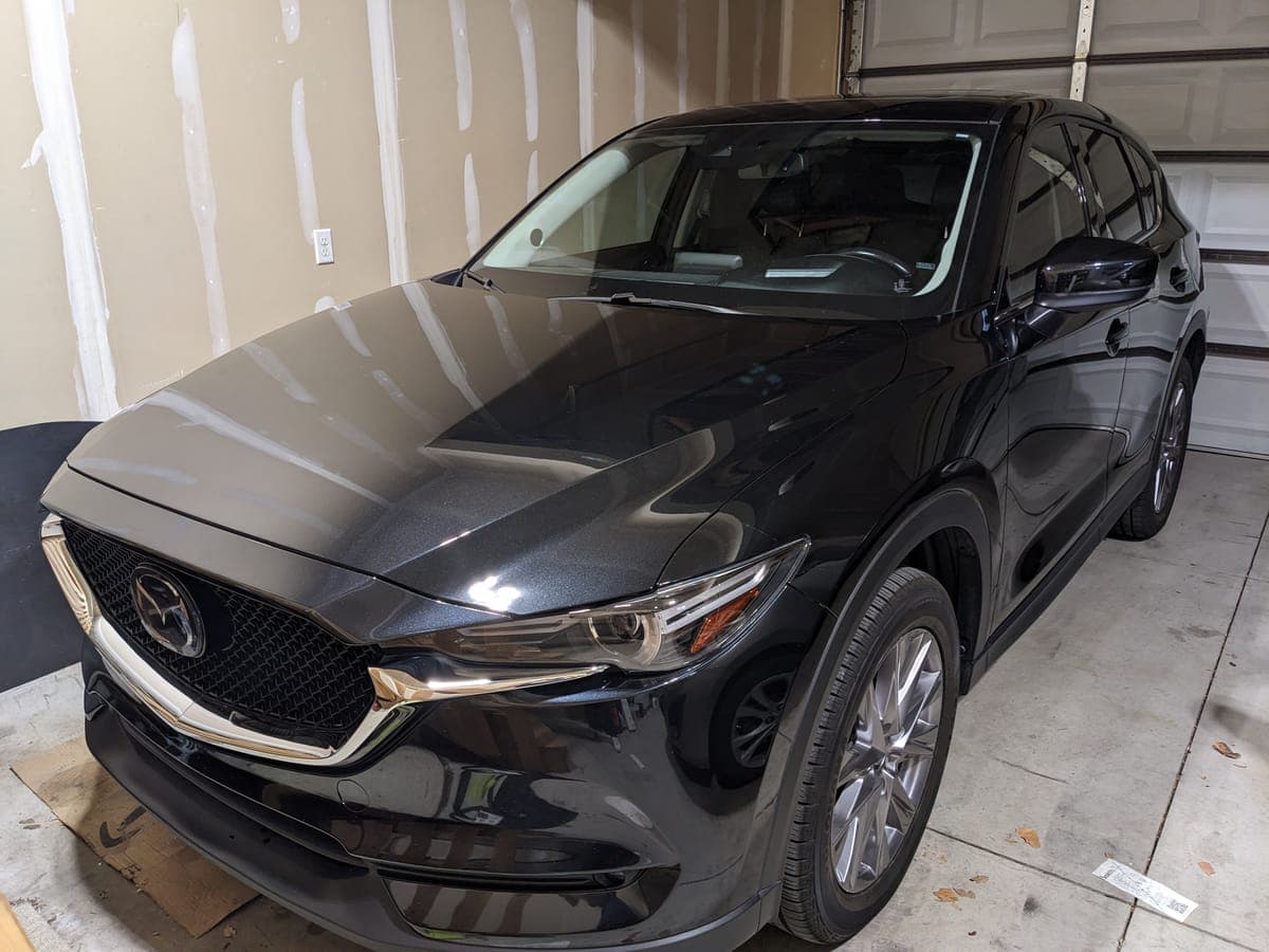 Detail Therapy - mazda housley